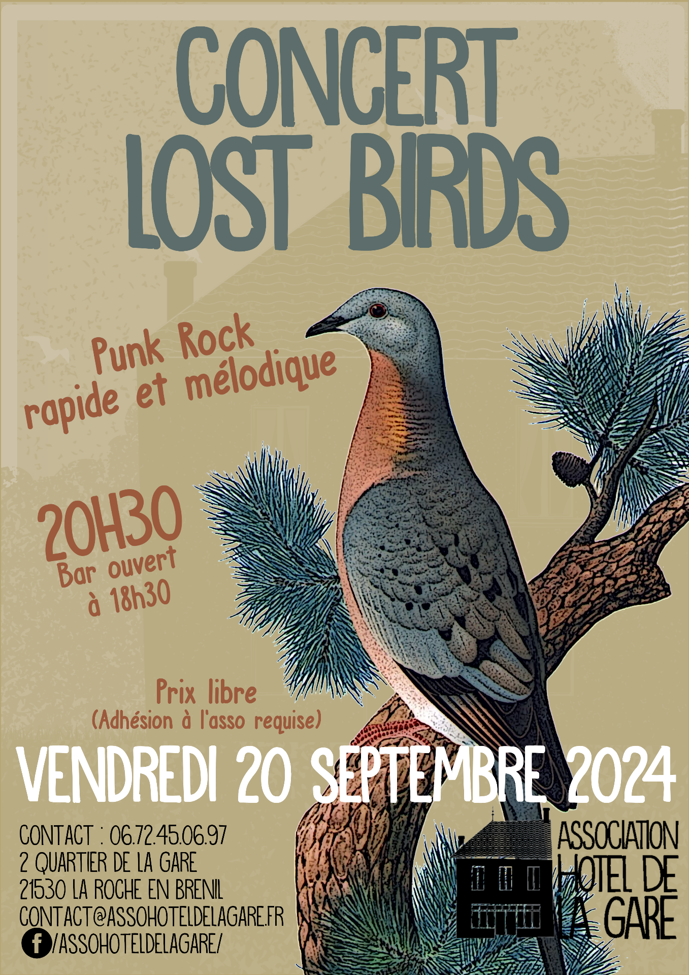 lost birds